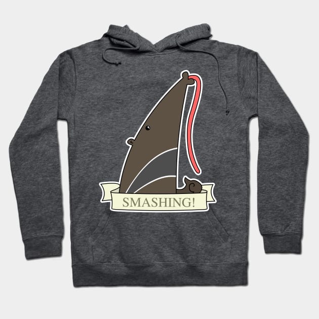 Smashing! Hoodie by timbo